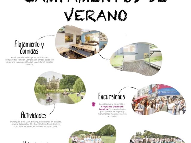 Campamentos verano